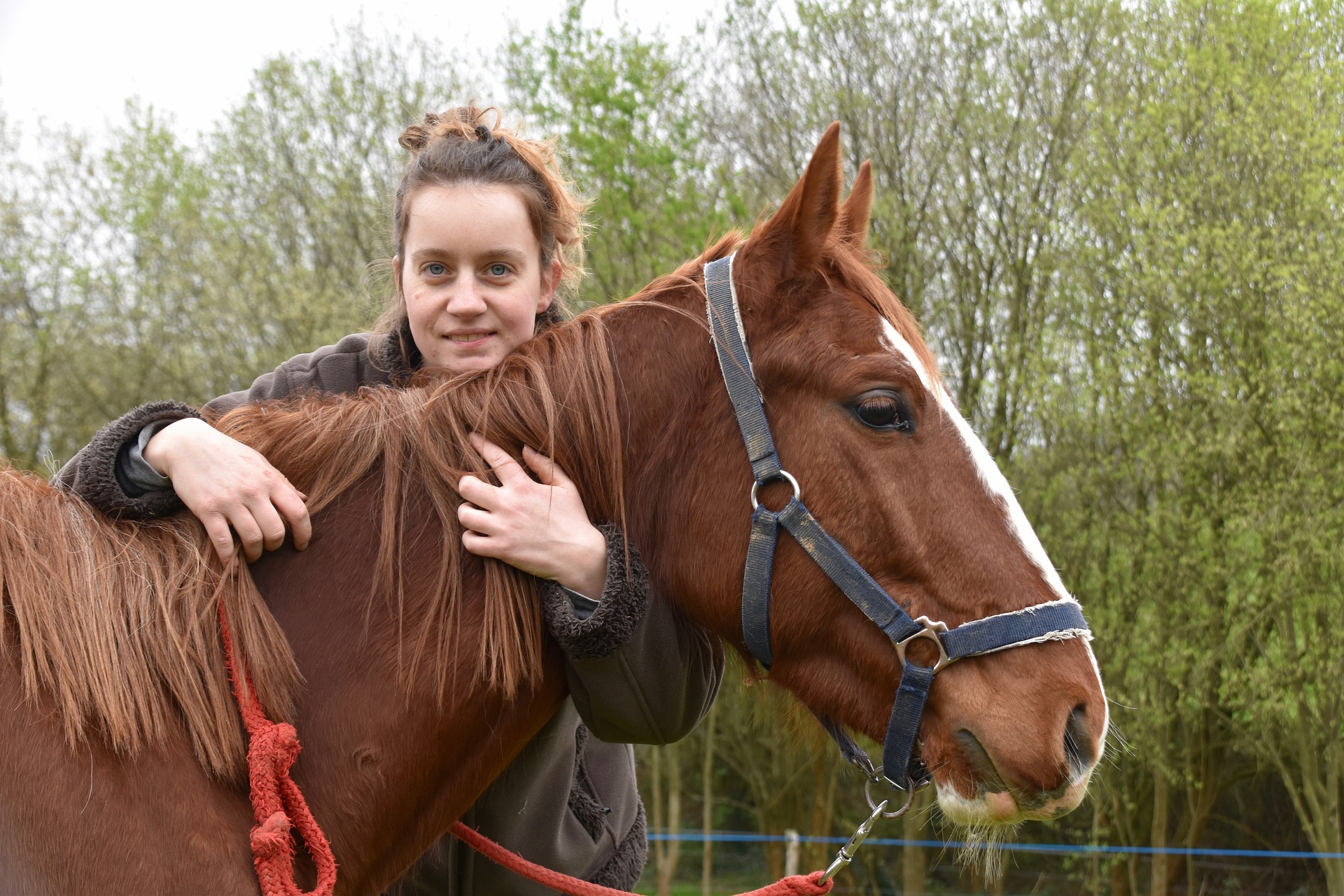 Få hestebokse med fokus på funktion og kvalitet hos Dan Egtved